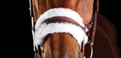 Discount WEATHERBEETA Collegiate® ComFiTec™ Sheepskin Bridle