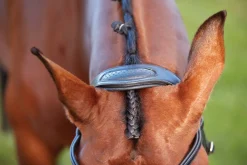 Online WEATHERBEETA Collegiate® ComFiTec™ Training Bridle