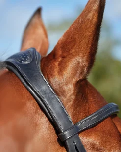 Online WEATHERBEETA Collegiate® ComFiTec™ Training Bridle