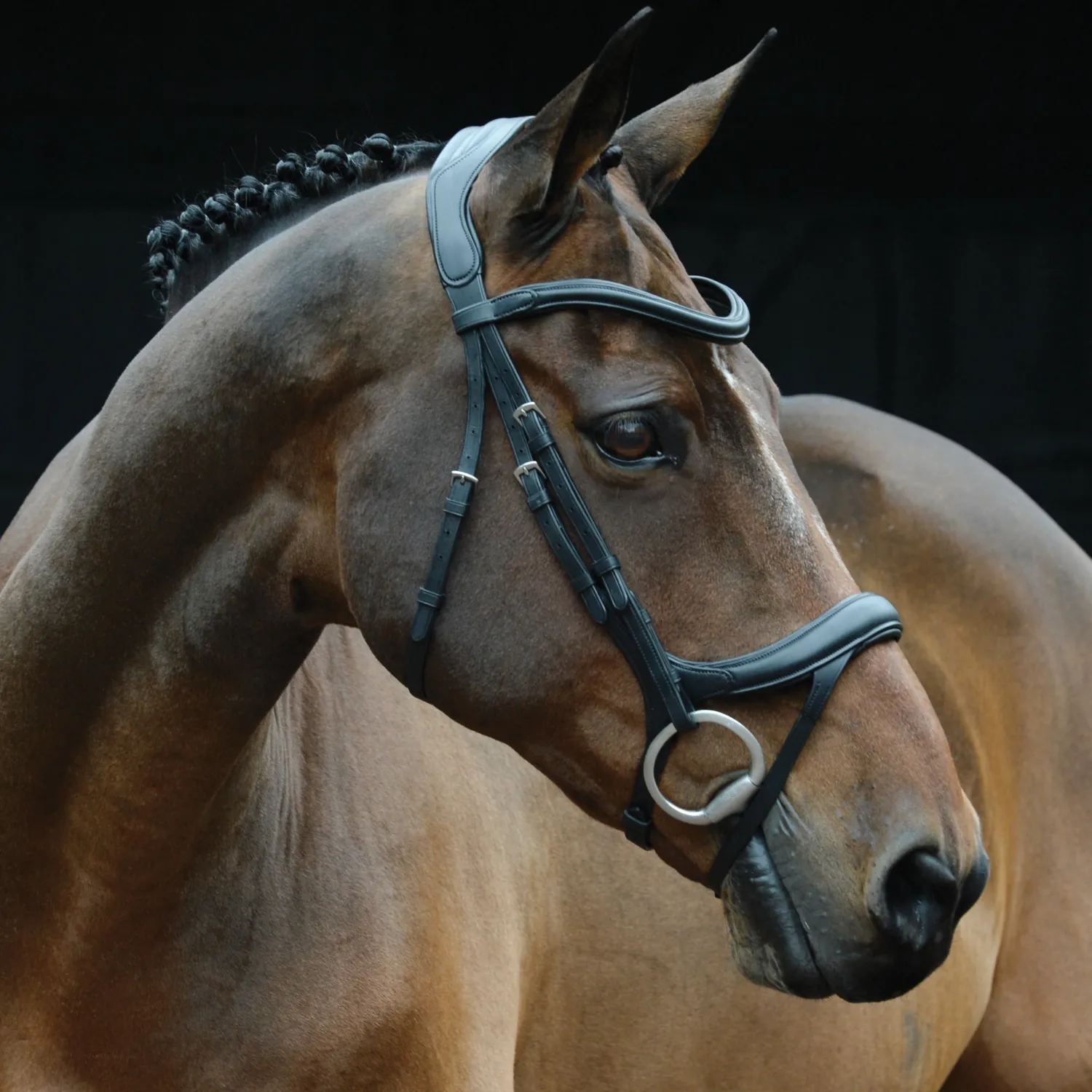 Hot WEATHERBEETA Collegiate® ComFiTec™ Vogue Anatomic Bridle