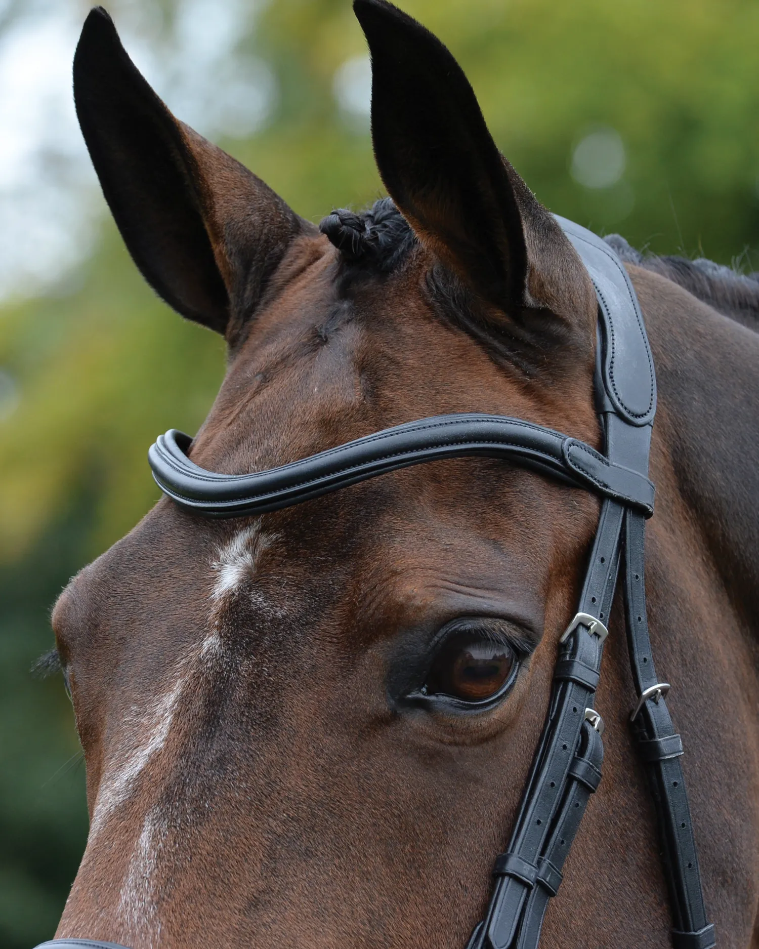 Hot WEATHERBEETA Collegiate® ComFiTec™ Vogue Anatomic Bridle