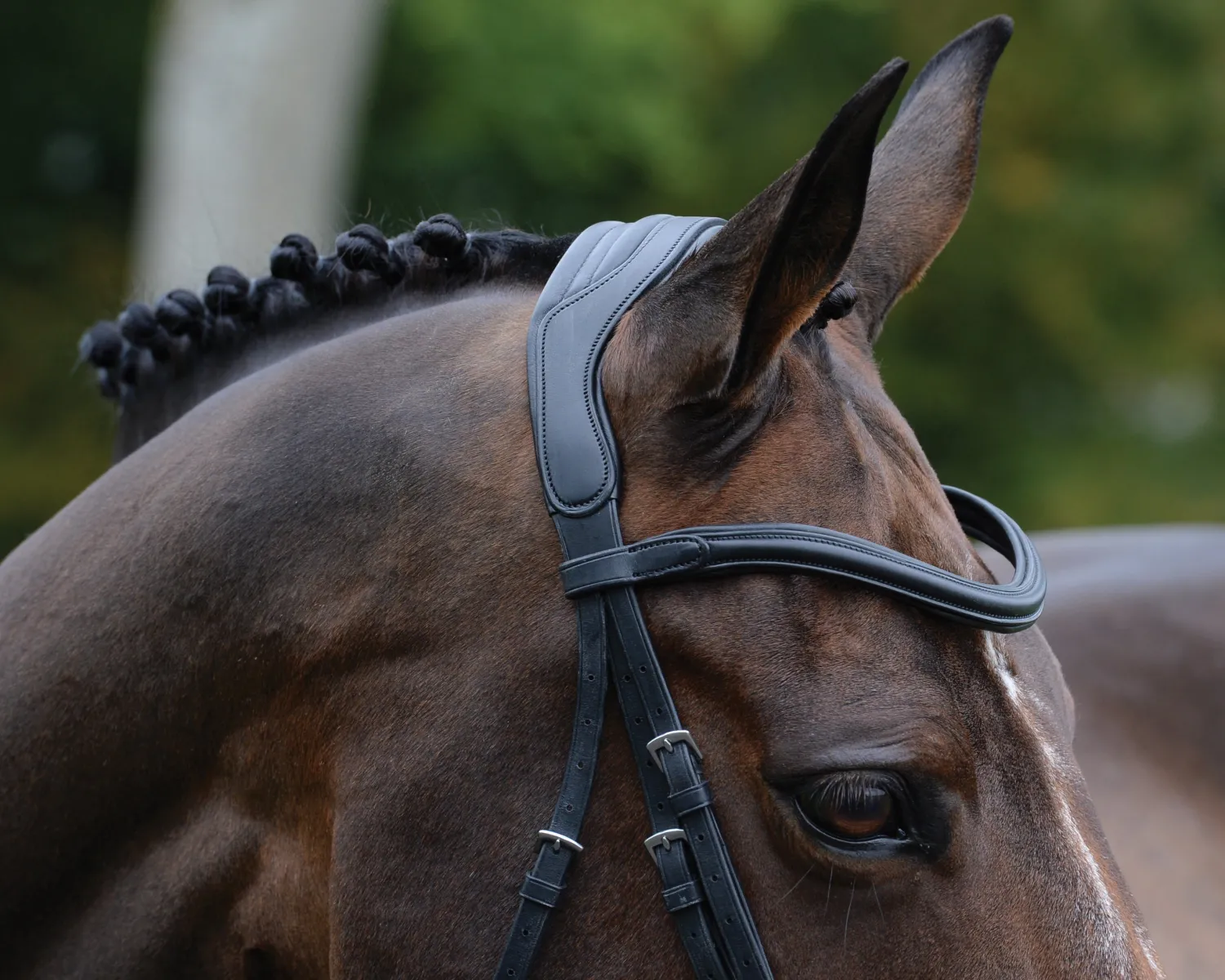 Hot WEATHERBEETA Collegiate® ComFiTec™ Vogue Anatomic Bridle