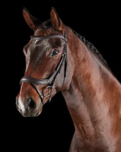 Hot WEATHERBEETA Collegiate® ComFiTec™ Vogue Anatomic Bridle
