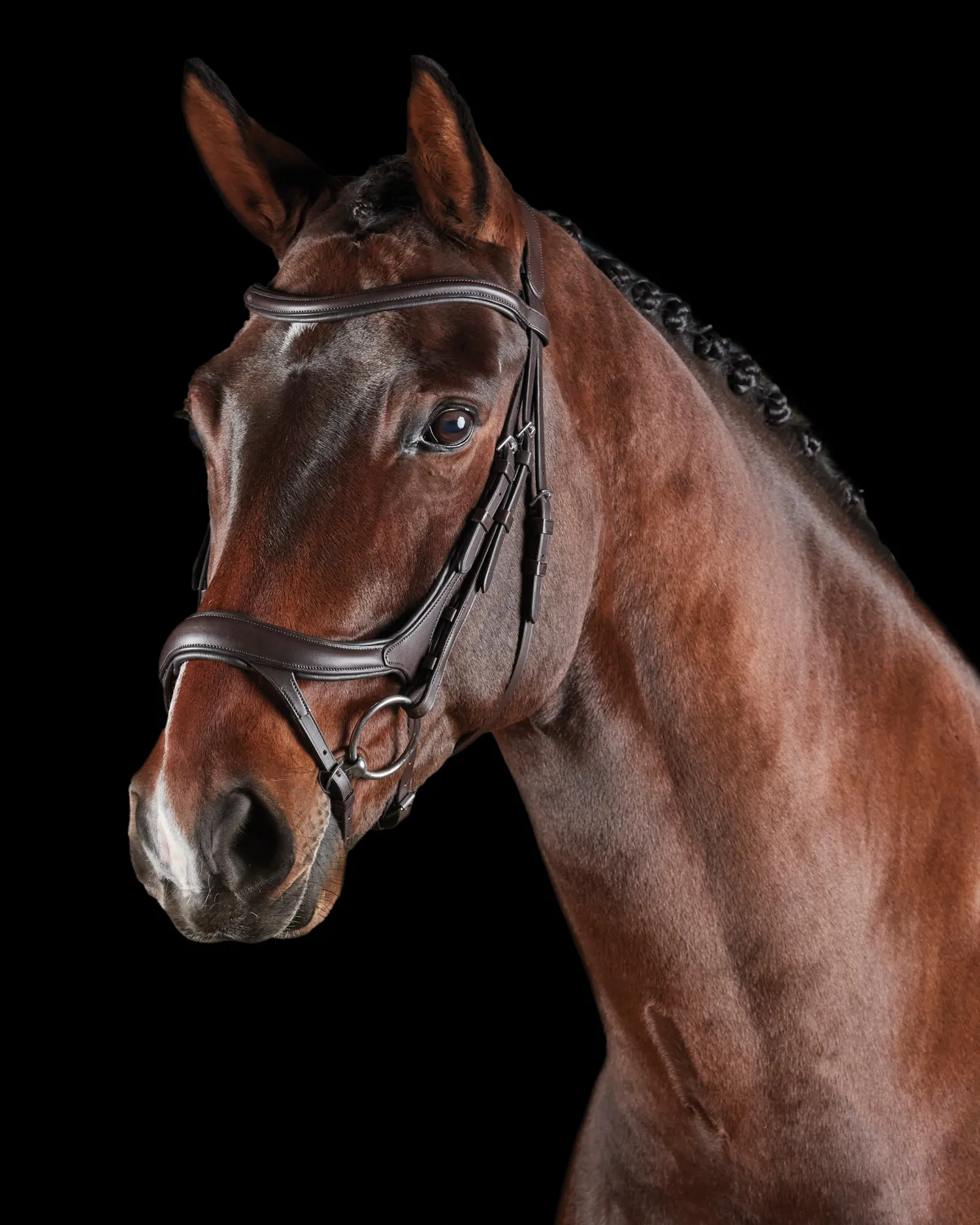 Hot WEATHERBEETA Collegiate® ComFiTec™ Vogue Anatomic Bridle