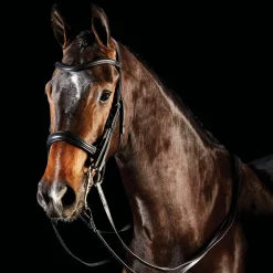 Online WEATHERBEETA Collegiate® ComFiTec™ Weymouth Bridle Black