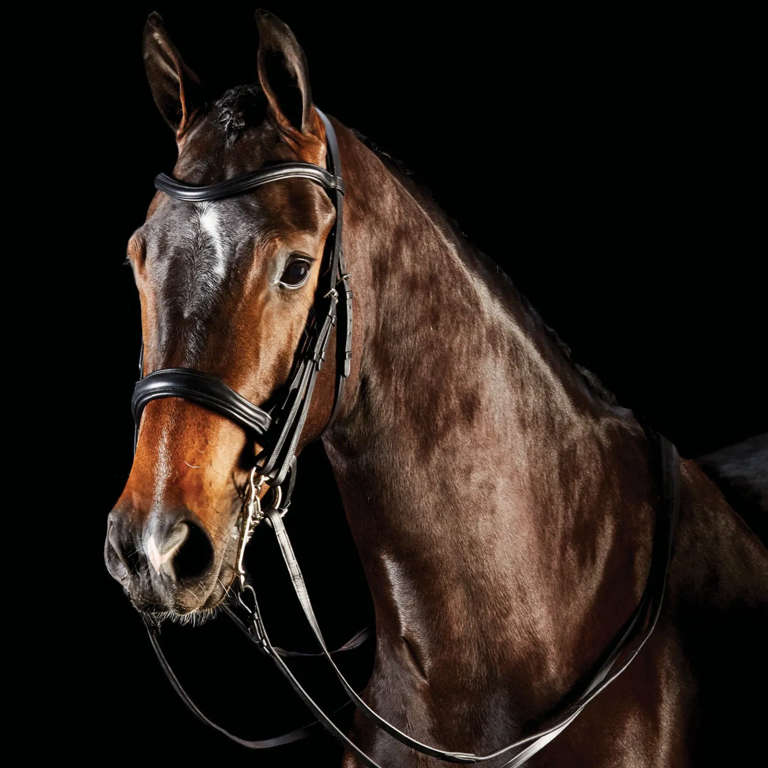 Online WEATHERBEETA Collegiate® ComFiTec™ Weymouth Bridle Black
