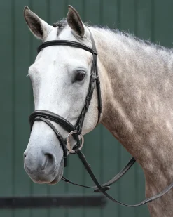 WEATHERBEETA Collegiate® Essential Padded Raised Flash Bridle