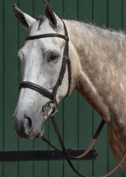 WEATHERBEETA Collegiate® Essential Padded Raised Caveson Bridle