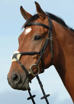 Outlet WEATHERBEETA Collegiate® Syntovia+ Padded Raised Figure-8 Bridle