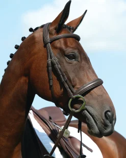 Sale WEATHERBEETA Collegiate® Syntovia+ Padded Raised Caveson Bridle