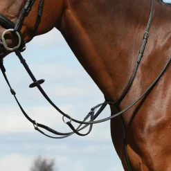 Online WEATHERBEETA Collegiate® Syntovia+ Plain Flat Running Martingale