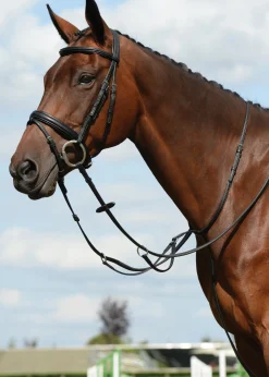 Online WEATHERBEETA Collegiate® Syntovia+ Plain Flat Running Martingale