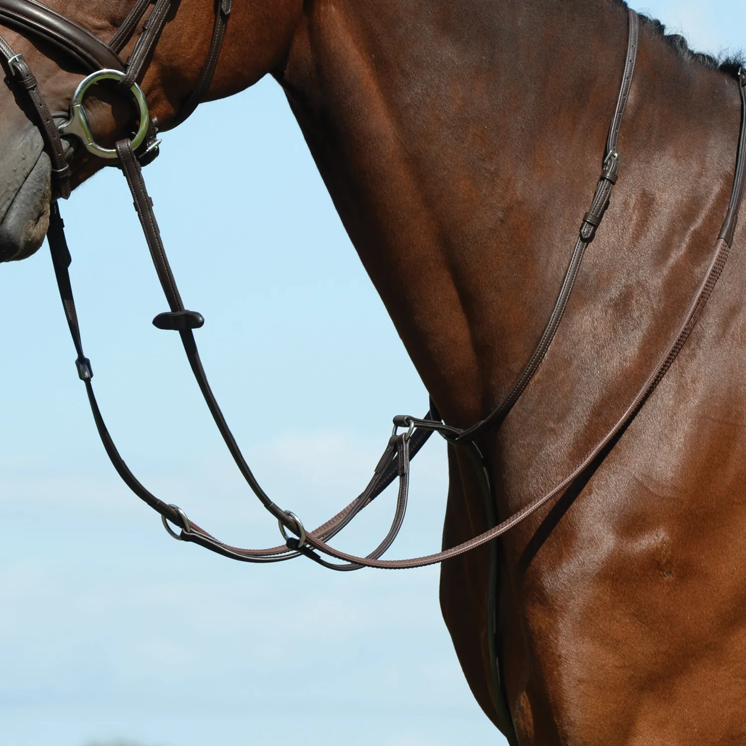 Online WEATHERBEETA Collegiate® Syntovia+ Plain Flat Running Martingale