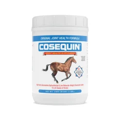 Online NUTRAMAX Cosequin® Original Powder