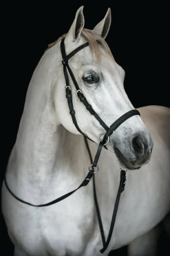 Discount BITLESS BRIDLE Dr. Cook's Beta BitlessBridle™