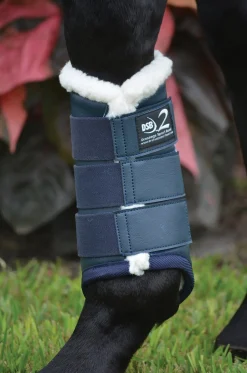 Online DRESSAGE SPORT BOOTS 2