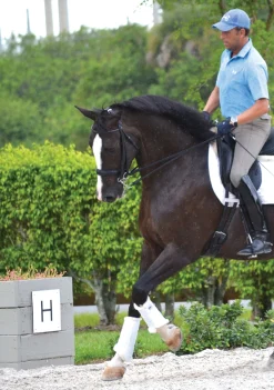 Sale DRESSAGE SPORT BOOTS