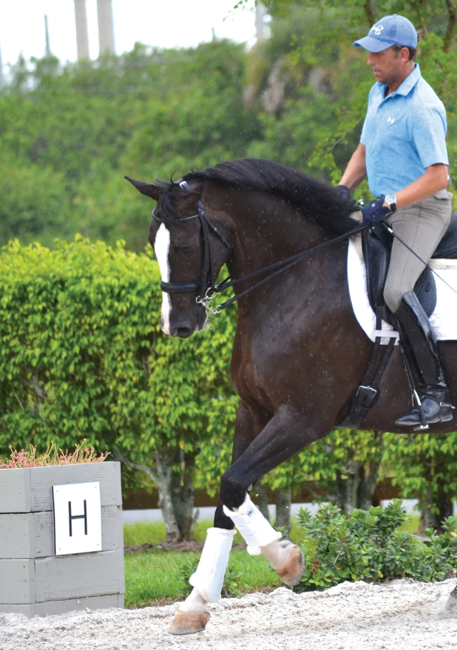Sale DRESSAGE SPORT BOOTS