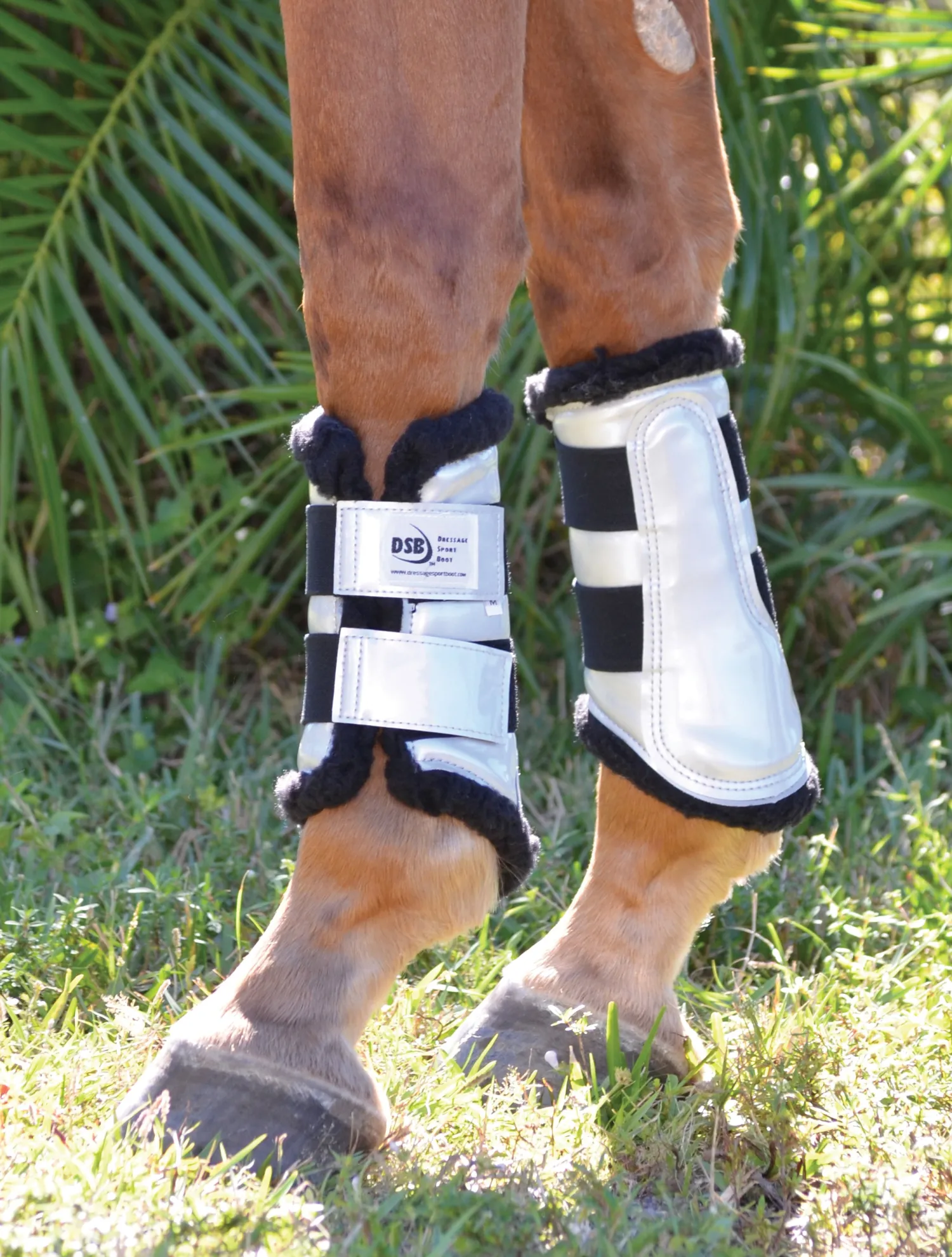 Sale DRESSAGE SPORT BOOTS