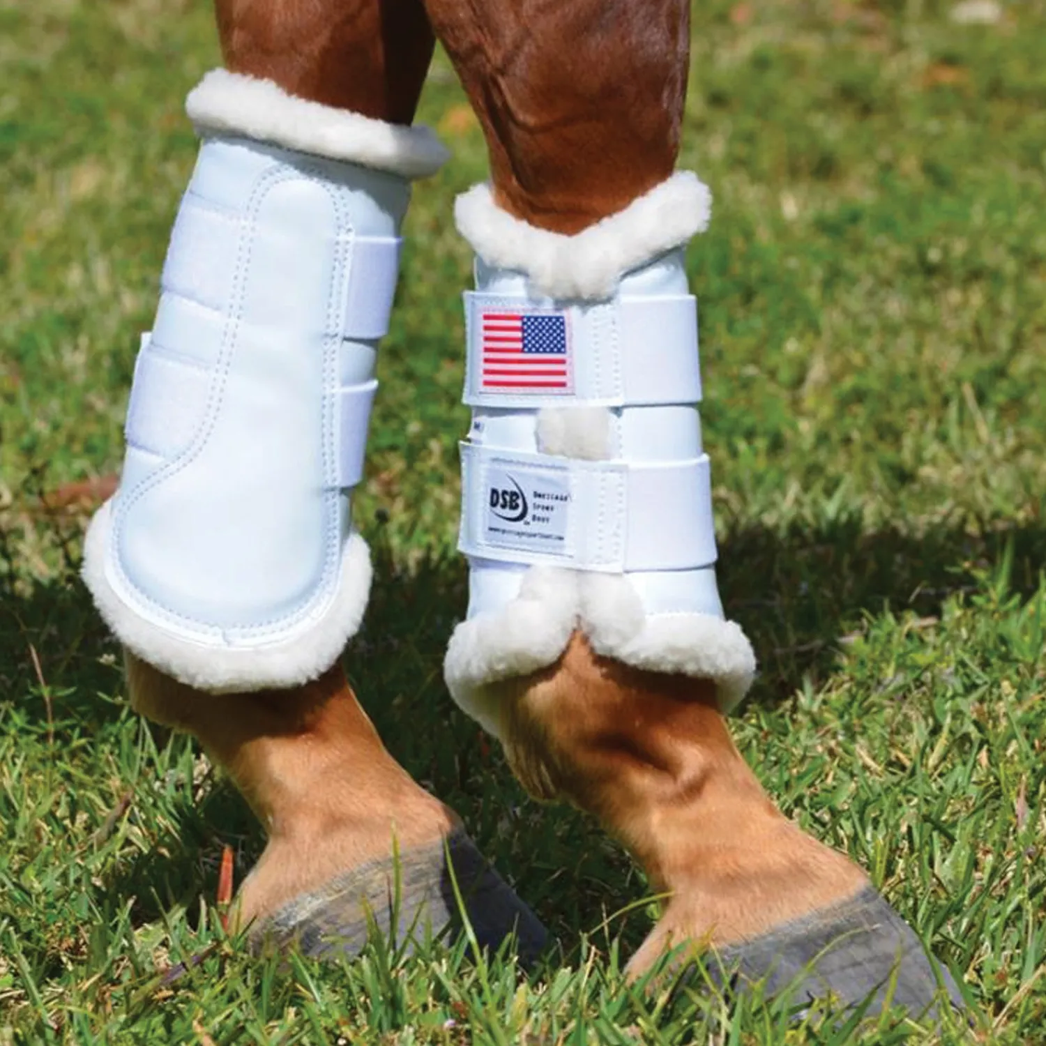 Sale DRESSAGE SPORT BOOTS