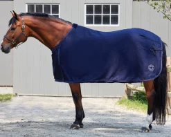 Clearance TEXT HORSE DS Awards Cooler Navy