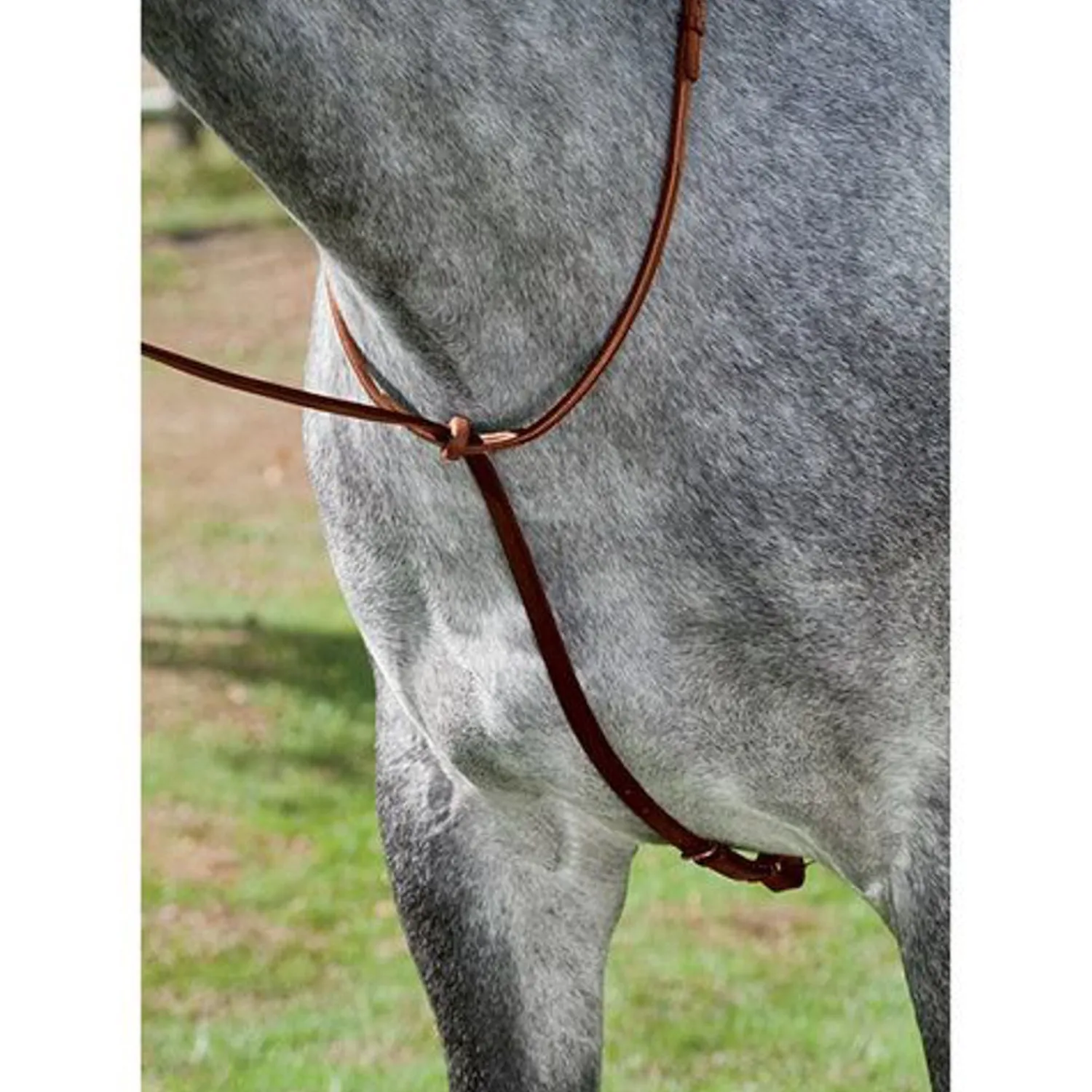 Sale HARMOHN KRAFT DS Deluxe Standing Martingale