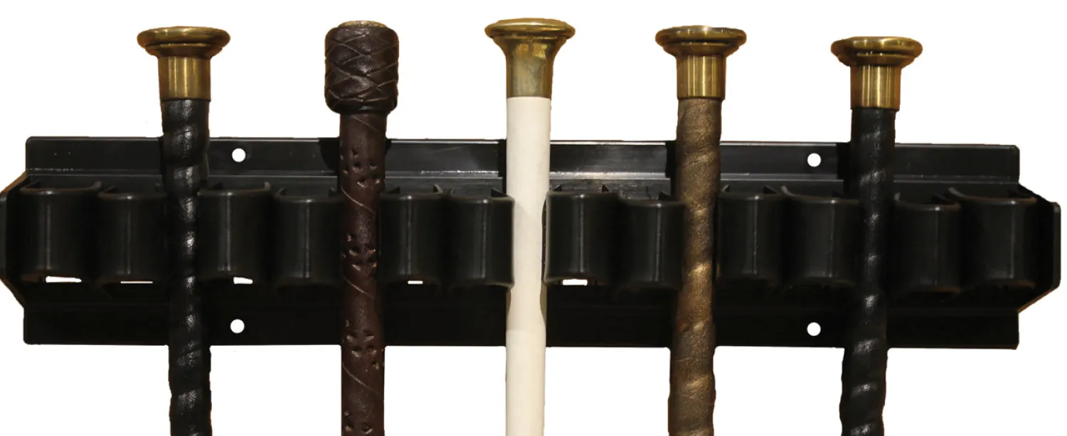 Best KING YOUNG DS Easy-Up Whip Holder