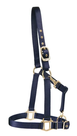 Hot ZEETA INTERNATIONAL DS Heavy Nylon Halter