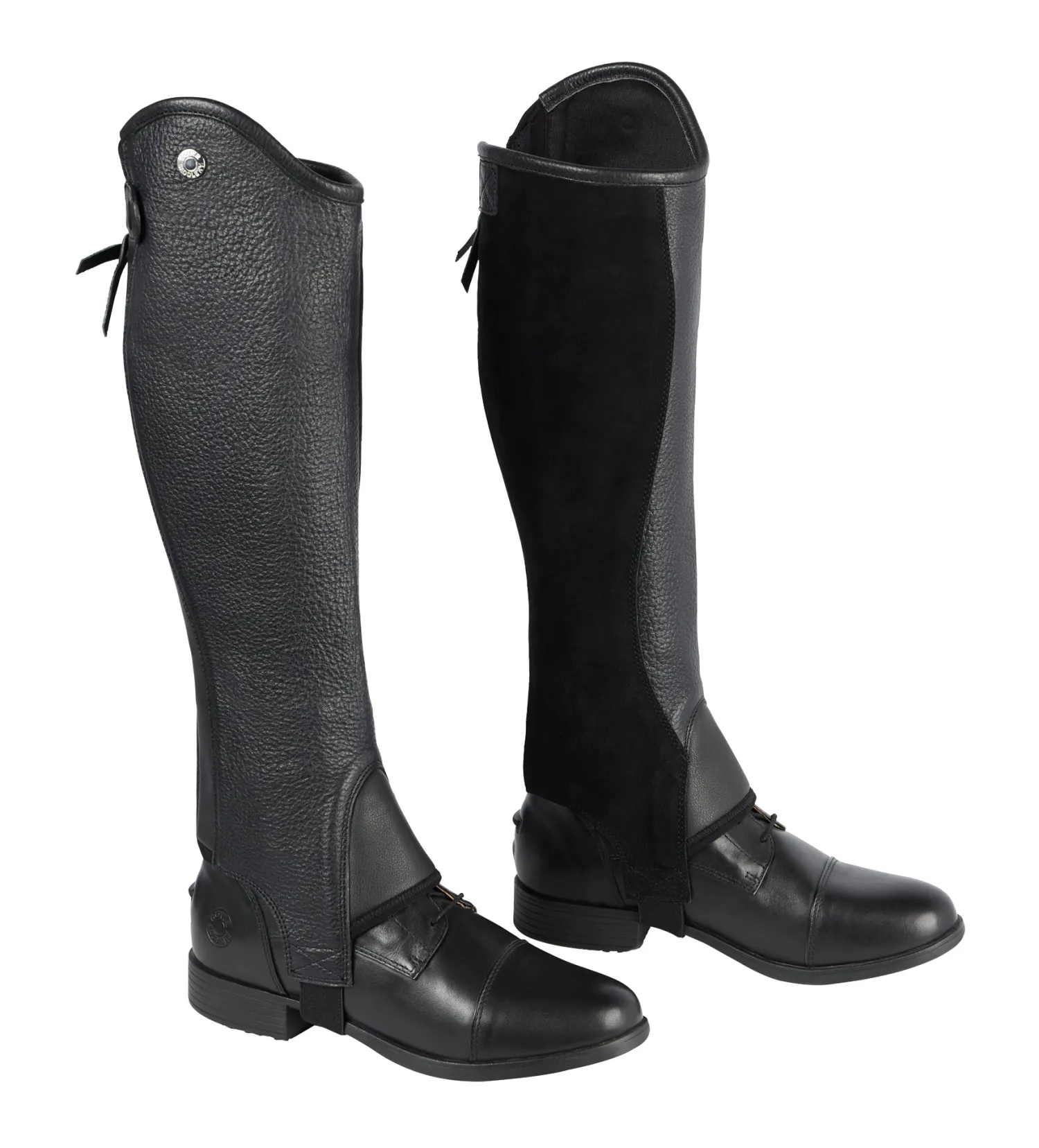 Clearance TEXT HORSE DS Ladies’ Stay Tight Leather Half Chaps