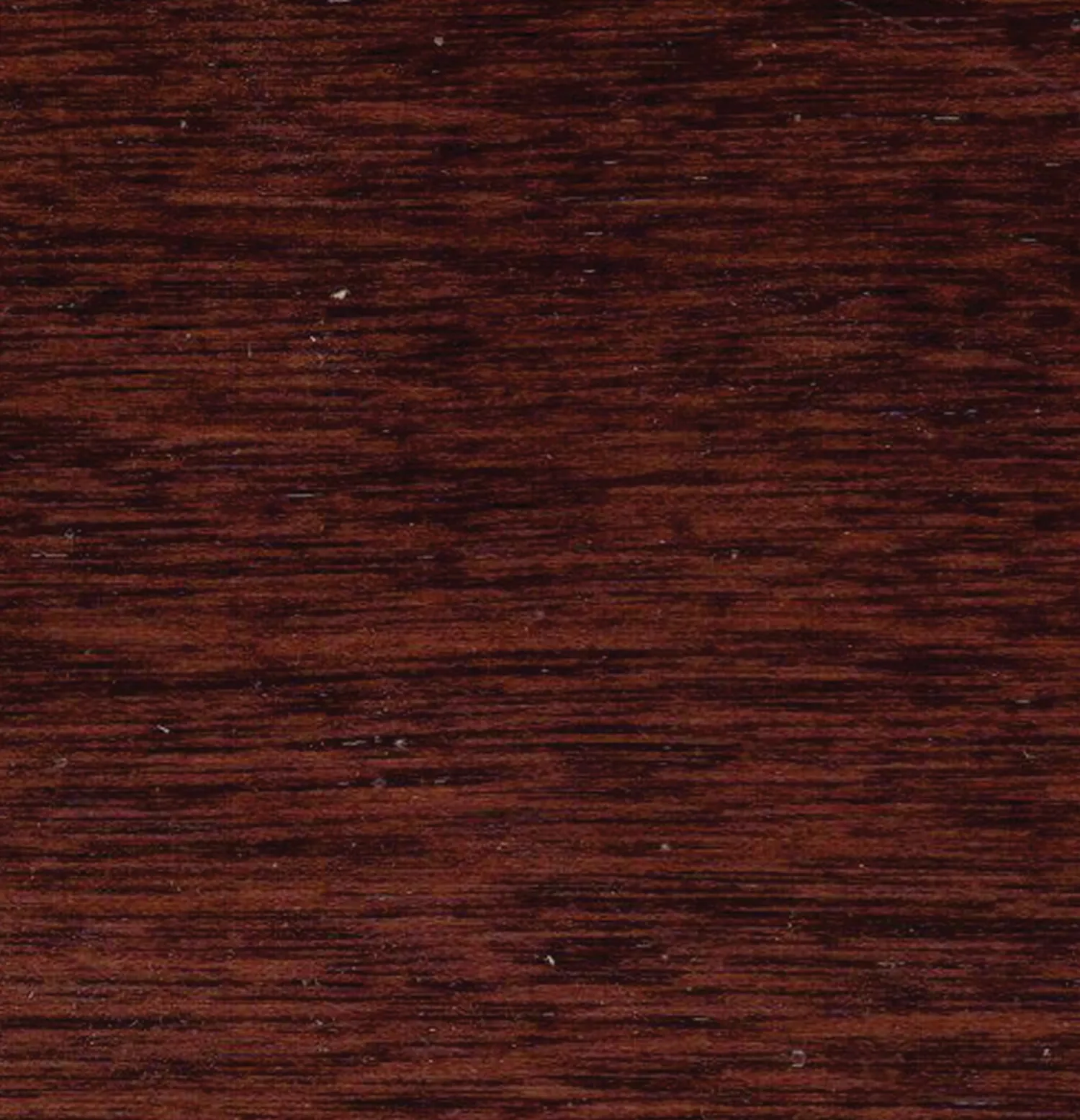 PHOENIX WEST DS Large Hardwood Trunk