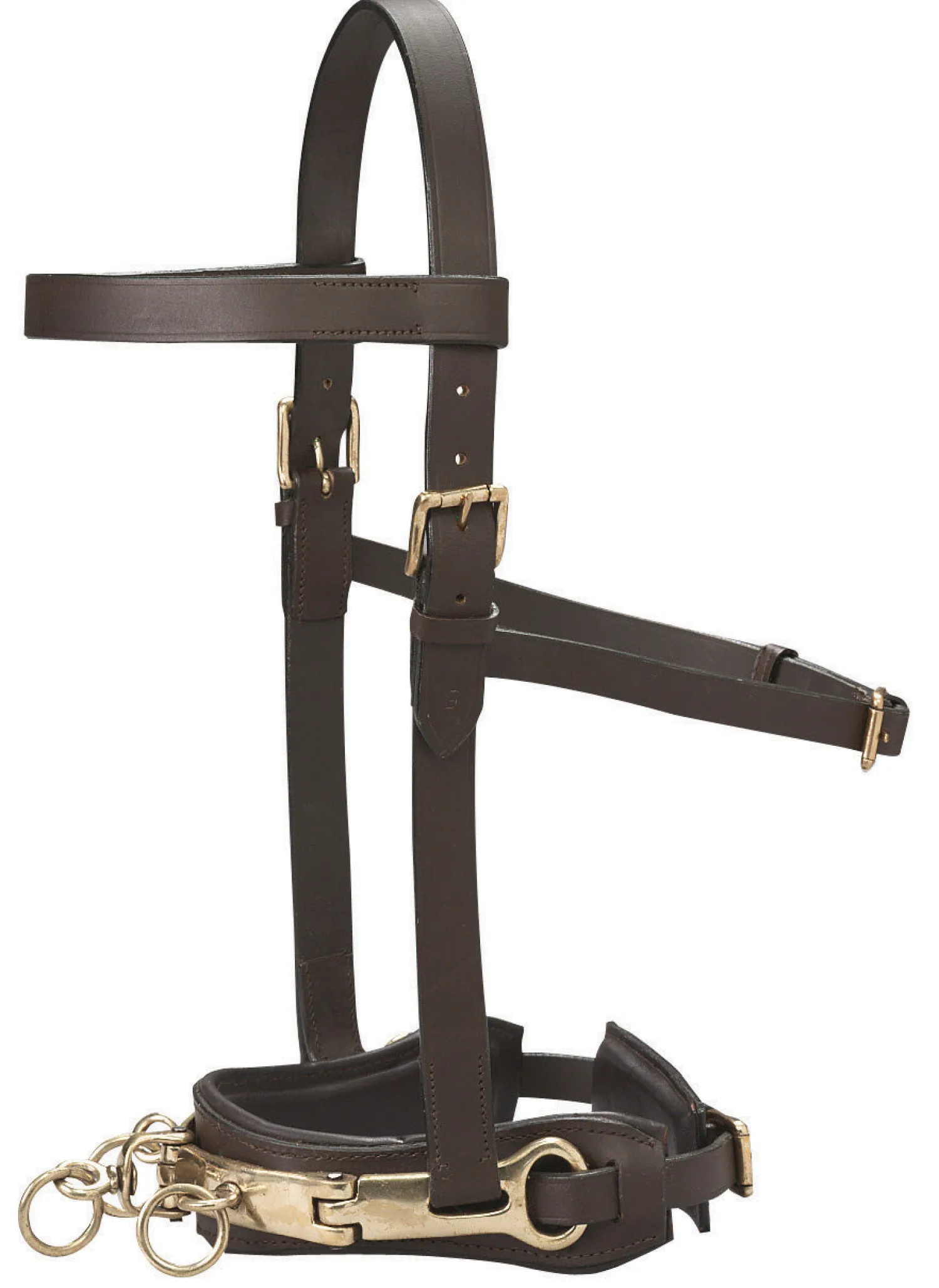 Online KINGS INTERNATIONAL DS Leather Lunge Caveson