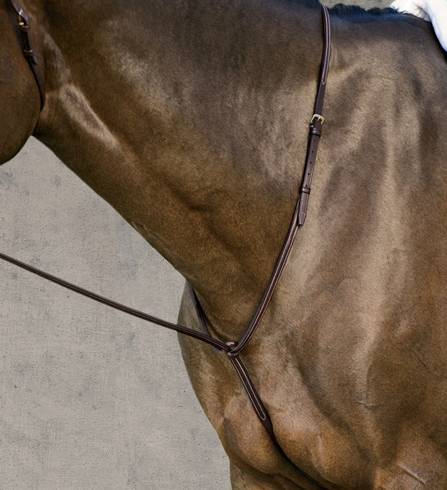 Discount KINGS INTERNATIONAL DS Plain Raised Martingale