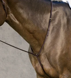 Discount KINGS INTERNATIONAL DS Plain Raised Martingale
