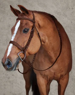 Sale HARMOHN KRAFT DS Premier Hunt Bridle Oakbark