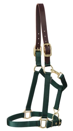 Best ZEETA INTERNATIONAL DS Heavy Nylon Breakaway Halter