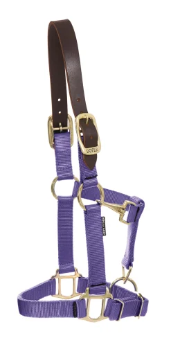 Best ZEETA INTERNATIONAL DS Heavy Nylon Breakaway Halter