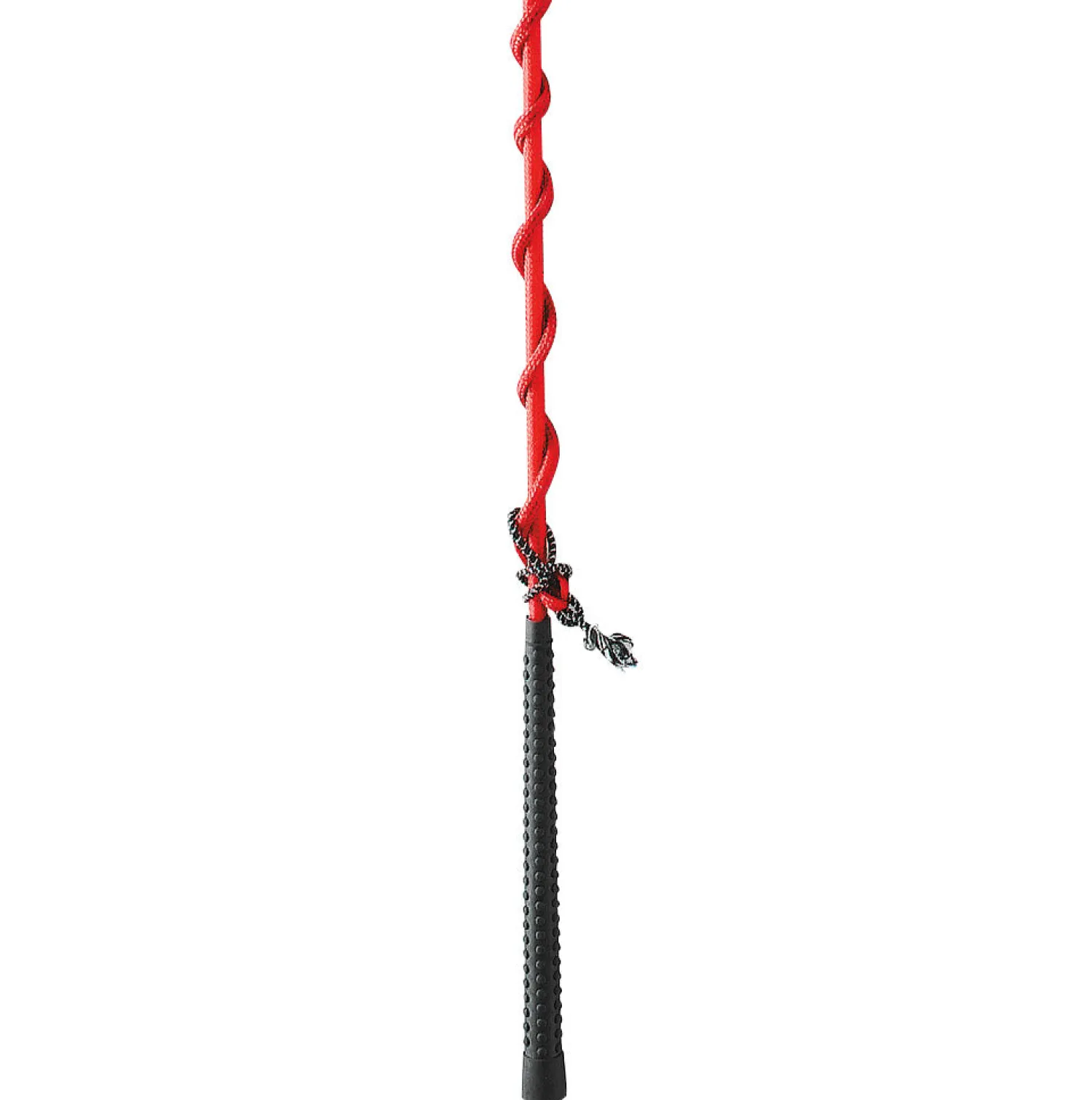 Clearance WEATHERBEETA Dublin® Nylon Lunge Whip