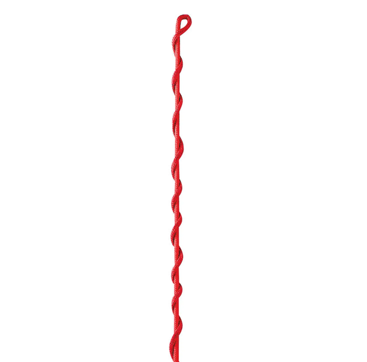 Clearance WEATHERBEETA Dublin® Nylon Lunge Whip
