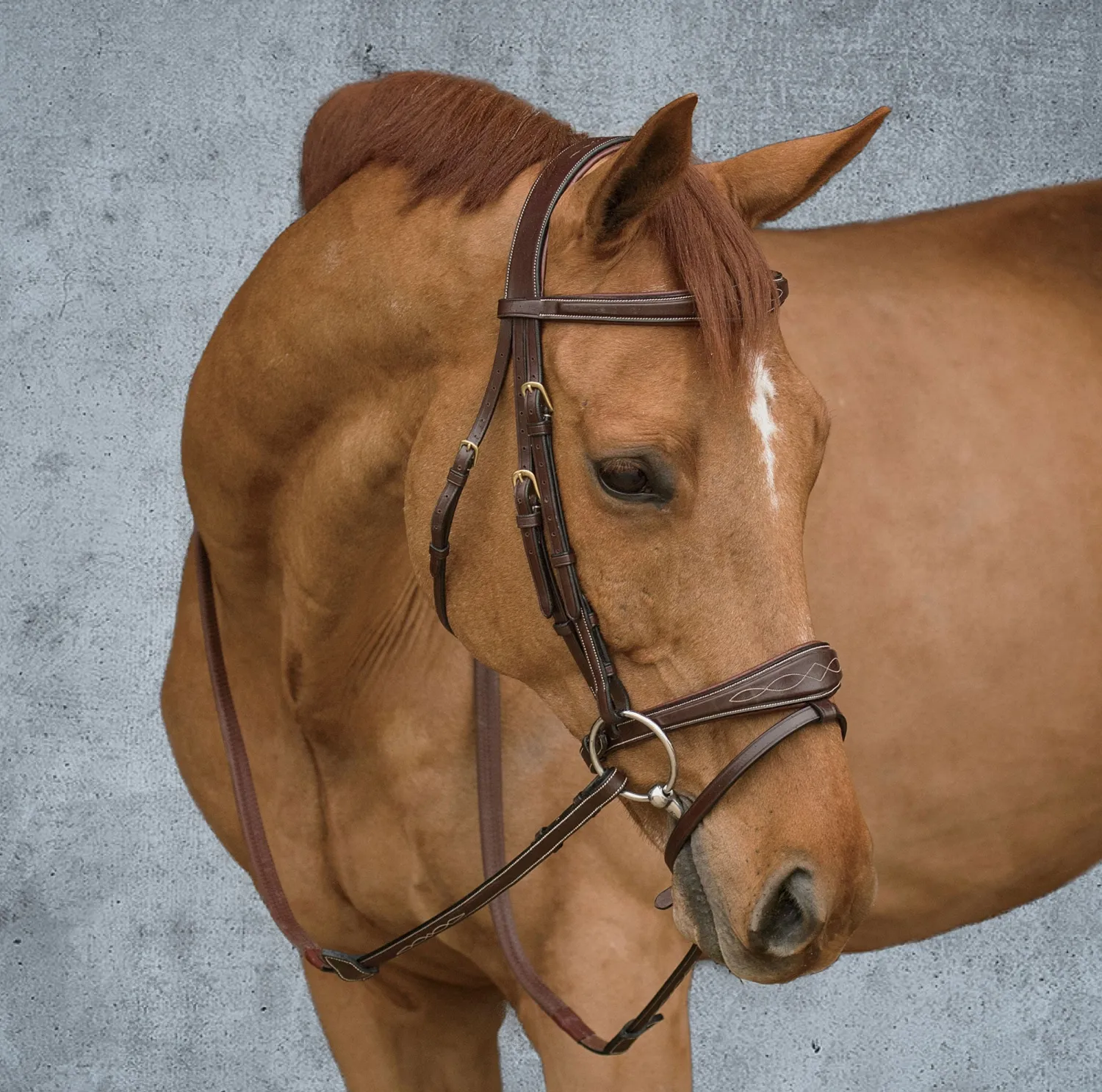 Discount KENTUCKY HORSEWEAR Dy'on® Anatomic Bridle Brown