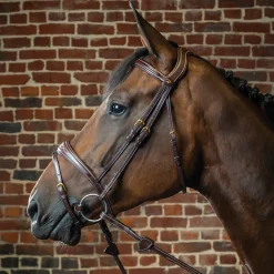 Discount KENTUCKY HORSEWEAR Dy'on® Anatomic Bridle Brown