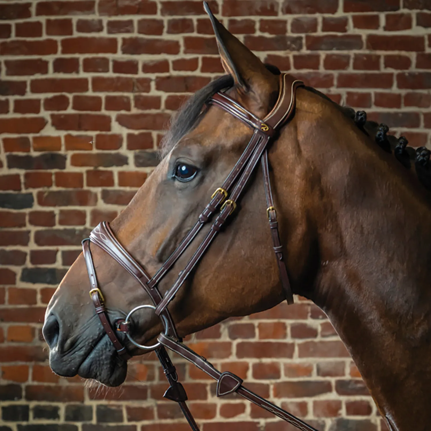 Discount KENTUCKY HORSEWEAR Dy'on® Anatomic Bridle Brown