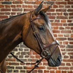 Discount KENTUCKY HORSEWEAR Dy'on® Anatomic Bridle Brown