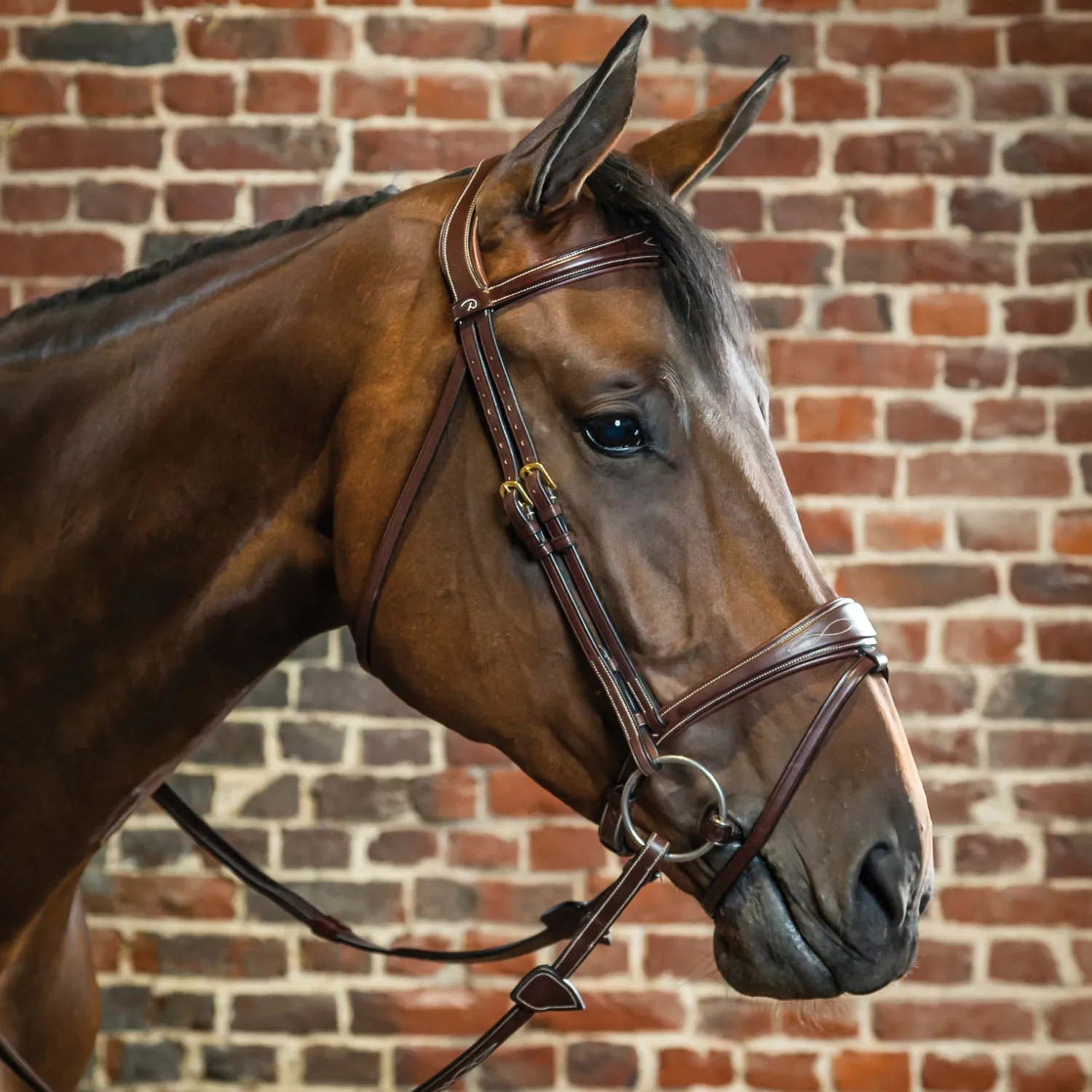 Discount KENTUCKY HORSEWEAR Dy'on® Anatomic Bridle Brown