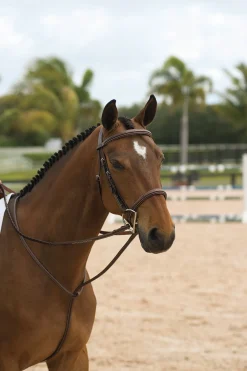 Sale KENTUCKY HORSEWEAR Dy'on® Standing Martingale Brown