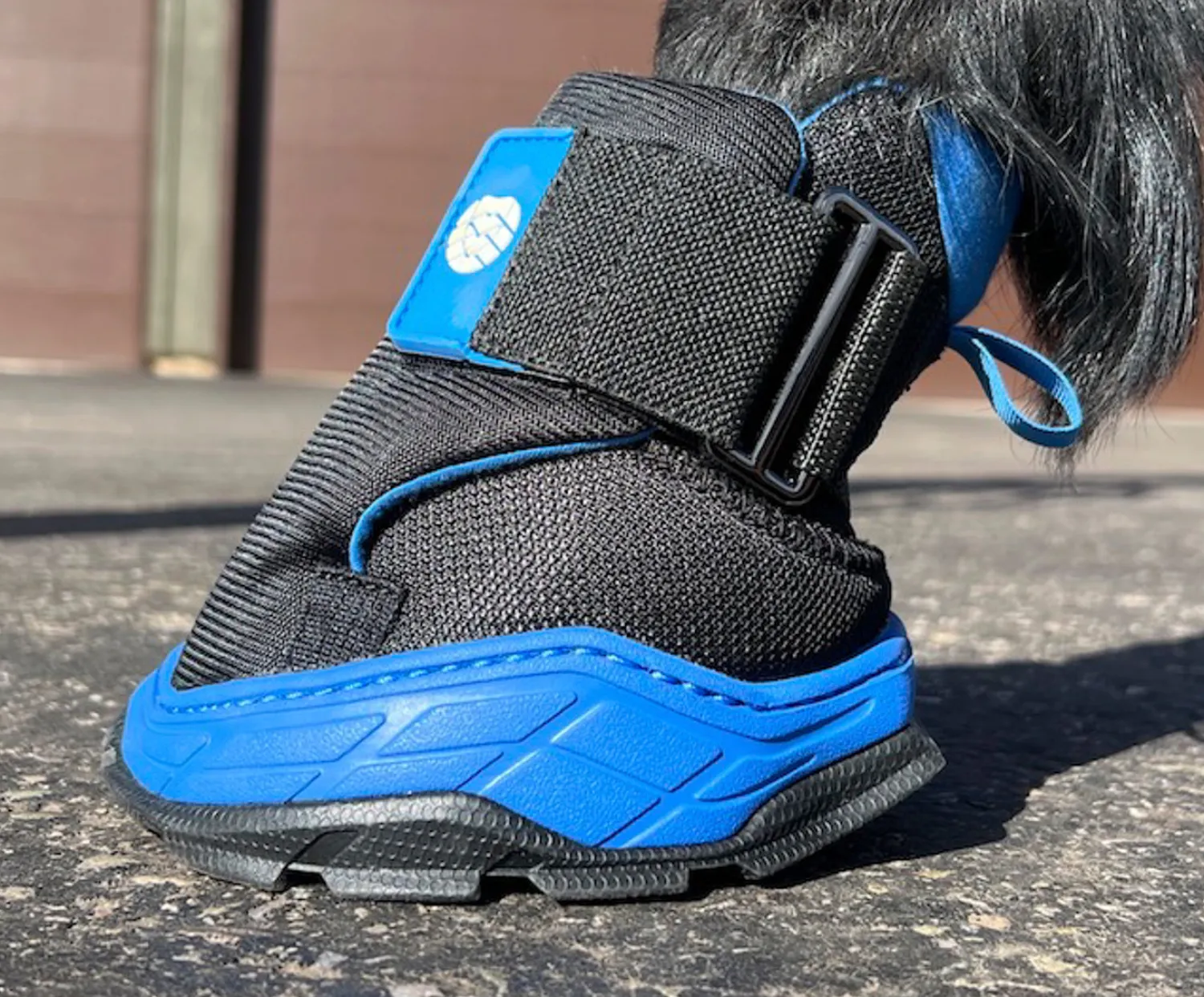Online EASYCARE Easyboot Rx2 Black