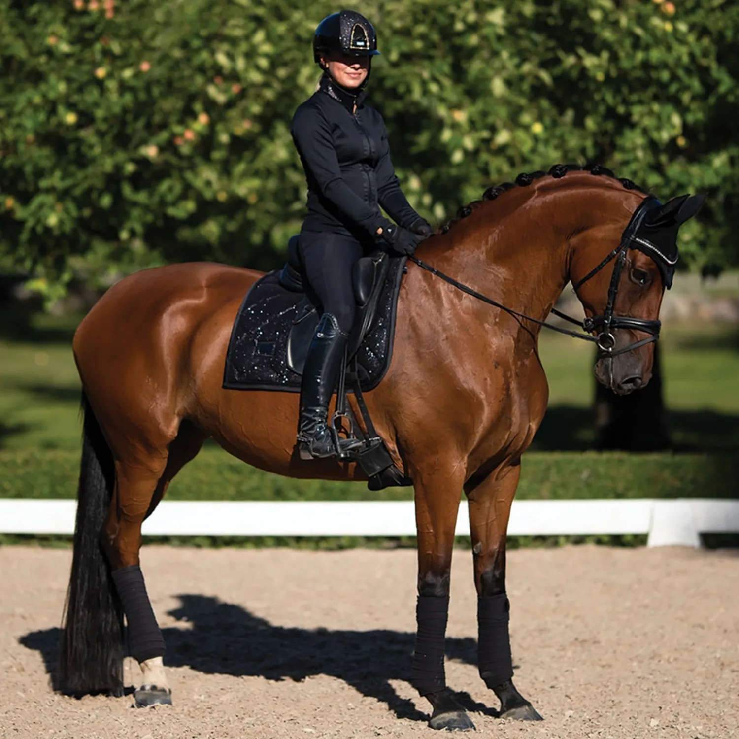 Best EQUESTRIAN STOCKHOLM Glimmer Dressage Saddle Pad