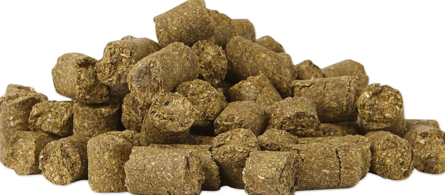 Clearance ANIMAL HEALTH INTERNATIONAL Equi Treats™ Bite Sized Pellets by SmartEquine™ - 12 oz
