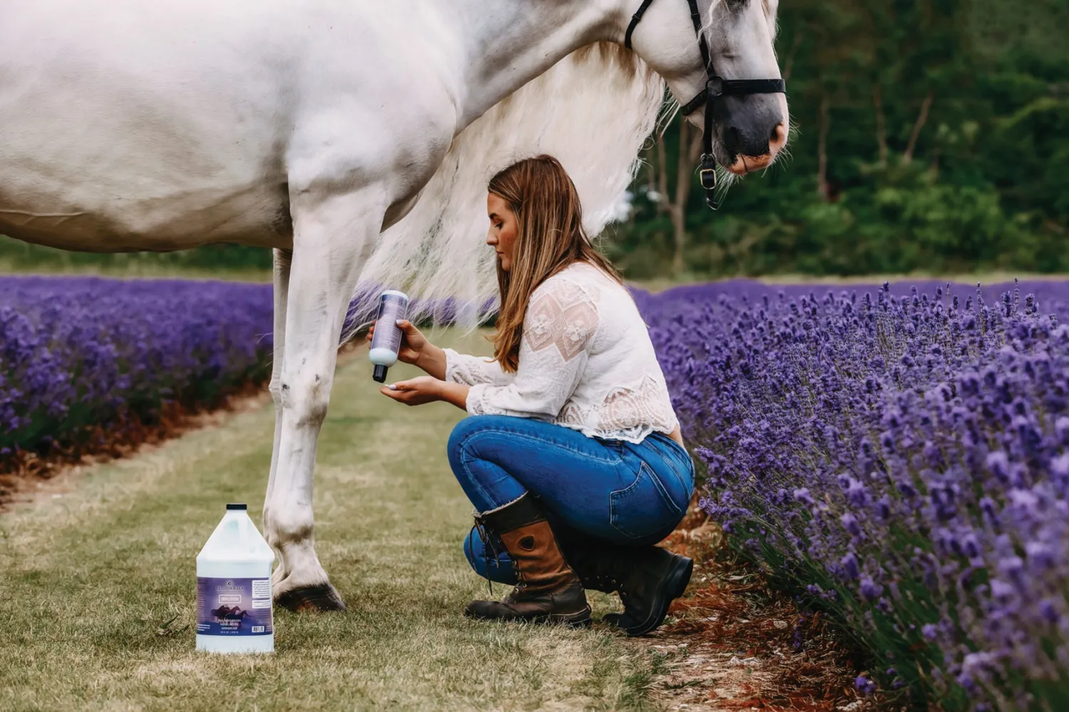 Sale ANIMAL HEALTH INT Equiderma® Skin Lotion