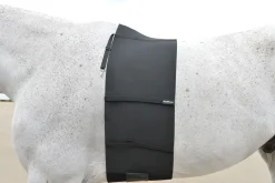 Clearance EQUIFIT ® BellyBand™ Black
