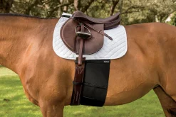 Clearance EQUIFIT ® BellyBand™ Black